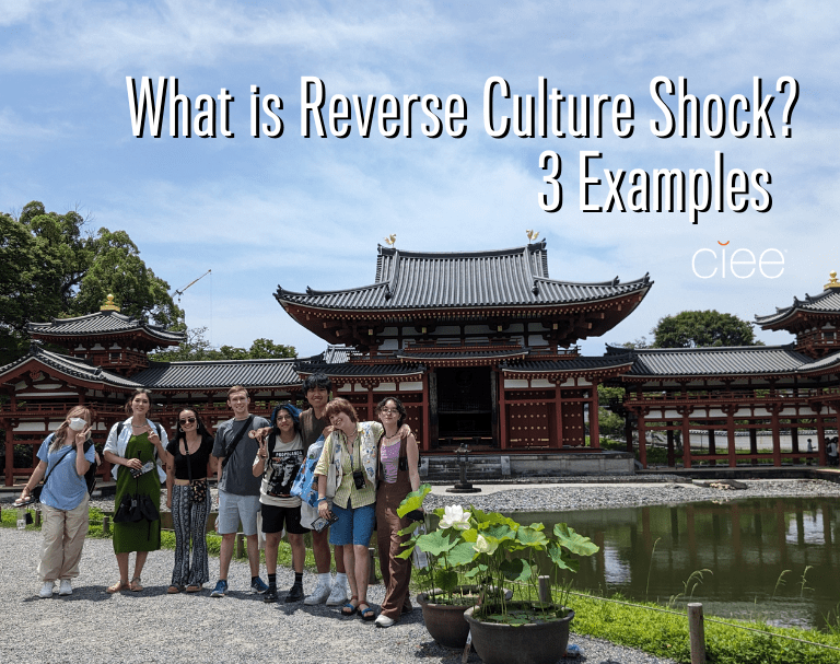 reverse culture shock essay